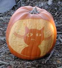 Cat 1, Nipomo Pumpkin Patch, carving idea